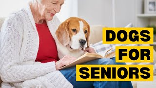 Top 10 Dogs for SENIORS by Planet of Predators 324 views 6 days ago 3 minutes, 30 seconds