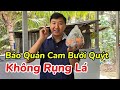 Cách Bảo Quản Cam Bưởi Quýt Trưng Tết Cả Tuần Không Rụng Cuống, Không Héo
