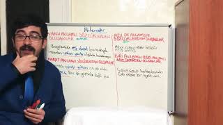 Sözcükte Anlam 12 Mehmet Işik Özcükteanlam Ürkçe