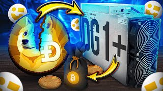 Wait! I'm Earning More Bitcoin with This Dogecoin Miner!