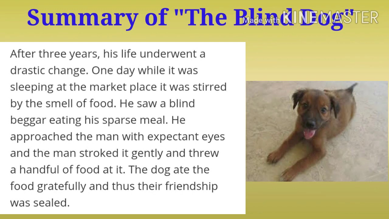 the blind dog essay in english