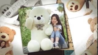 my teddy bear pics screenshot 3