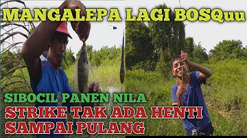 AYAH DAN ANAK ADU SKILL || STRIKE NILA || BUMI MINANG CHANNEL