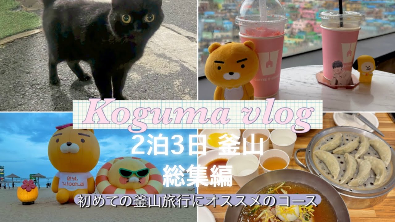 【釜山vlog 総集編】初めての釜山旅行におすすめのコース 