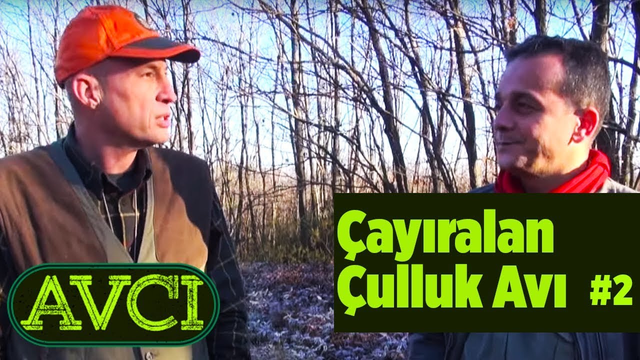 Çayıralan Çulluk Avı 2 - Avcı - Yaban Tv