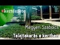 Talajtakarás a kertben - Talajtakaró cserjék - Talajtakarás kaviccsal