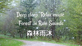 森林雨沐forest in rain森林浴大自然下雨聲Relax music rain sounds deep sleep meditation music asmr水流聲睡覺音樂放鬆失眠舒壓按摩冥想