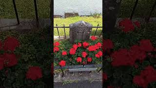 More little John's grave.