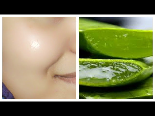 Husk Endeløs om How to get clear, glowing, spotless skin by using aloe Vera gel - YouTube