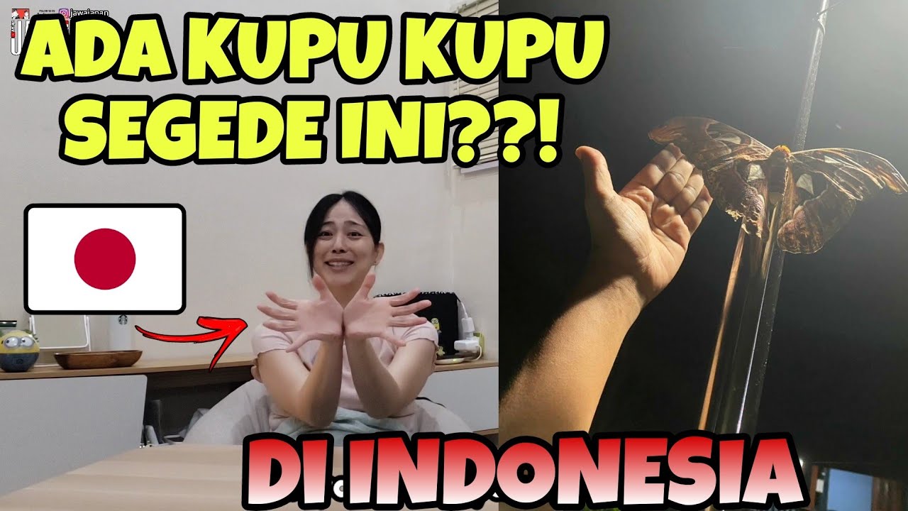 Istri Jepang belum nyaman tinggal di desa karena?