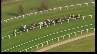 2011 Pertemps Final Handicap Hurdle - Cheltenham Festival