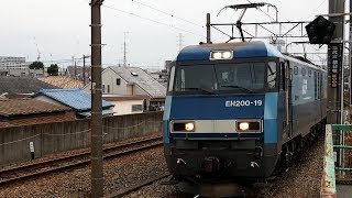 2017/12/04 JR貨物 貨物列車 尻手駅 | JR Freight: Freight Trains at Shitte