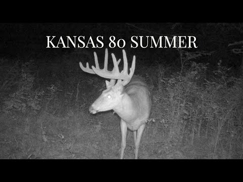 Kansas 80 Summer UPDATE!