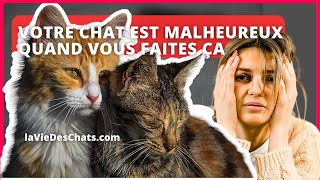 VOTRE CHAT EST MALHEUREUX POUR CES 5 ACTIONS