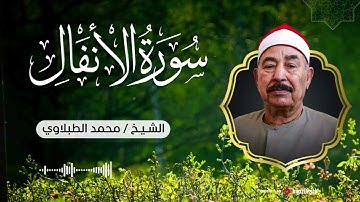 تلاوة عطرة بصوت الشيخ محمد الطبلاوي تهز القلوب وتشرح الصدور |سورة الأنفال |
