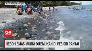 Heboh Emas Murni Ditemukan di Pesisir Pantai