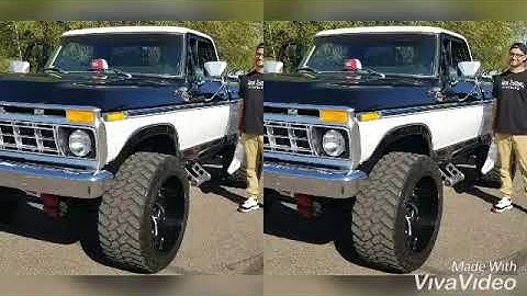 #bornsuspectclothing #dinosgitdown