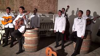 Video thumbnail of "Hay otra en tu lugar - La Rondalla Voces del Corazón."