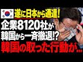 【海外の反応】「日本製が世界から消えても韓国は困らない」日本企業の撤退を歓迎した政権…雇用への影響が明らかになった結果
