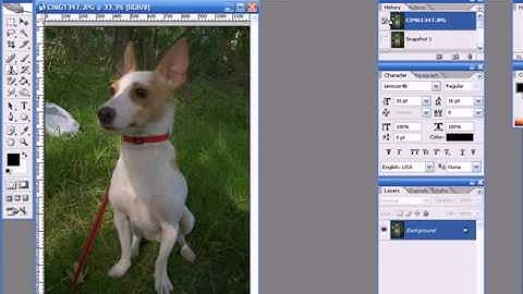 Photoshop Tutorial - Using Clone Stamp to Remove Unwanted Objects