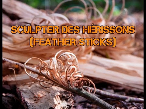 Sculpter des hérissons (Feather sticks) pour allumer un feu