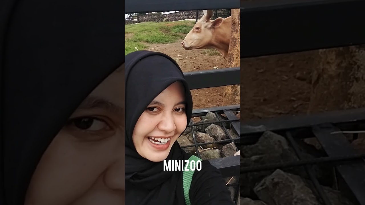 minivlog✨️ the nice funtastic park✨️