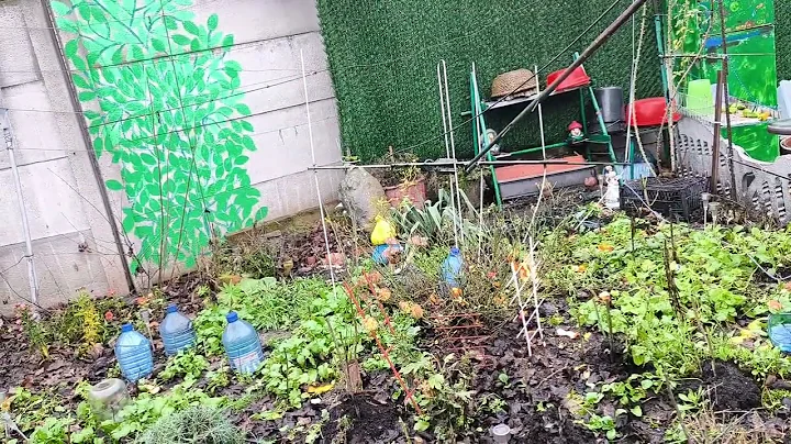 Collection for our boys: boys. https://send.monobank.ua/jar/6onbv9FEJF card 5355280217699295