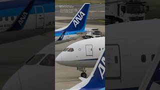 The Incredible Long Body: ANA B787-10 (78K) Smooth Landing & Reverse Thrust | ITAMI Airport RJOO