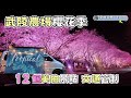 宜蘭武陵農場【櫻花季12大美拍景點｜台7線】武陵農場露營區環島旅行｜露營車｜Vanlife《憂娘駕駛Outdoor》