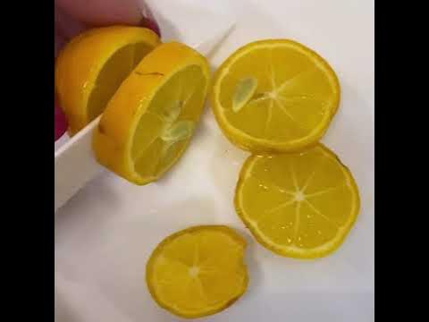 Лаймкват Таварес - YouTube