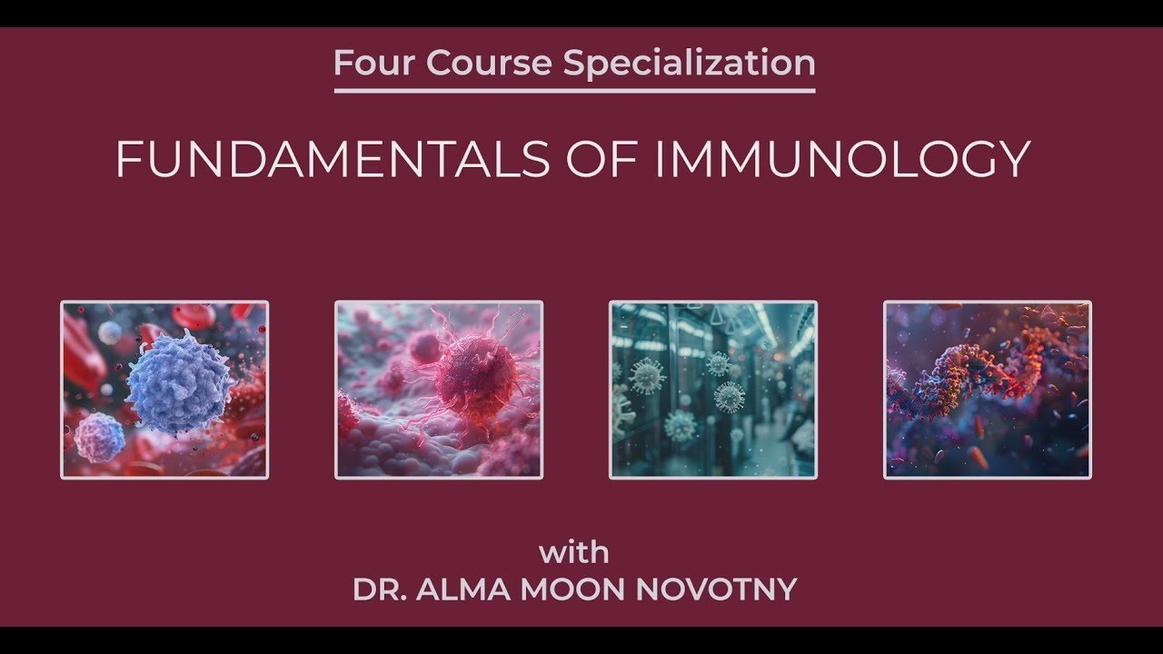 Rice University | Fundamentals of Immunology - YouTube
