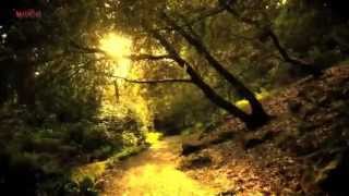 Bernd Steidl - Dreams (Best World Instrumental Musics 2014 / 1080p HQ) Mu©o