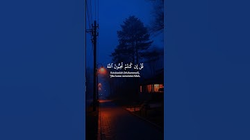 تلاوة مميزة من القرآن الكريم بصوت خاشع وجميل #قران_كريم #quran #المصحف #اكسبلور #راحة_نفسية #دويتو