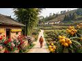 China’s Hidden Fruit Paradise! 4K Walk Through a Secluded Rural Village Loaded with Loquats & Roses