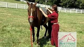 Bestfriend Bareback Pad