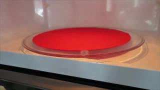 Celebrity Prep Solutions Silicone 12 Inch Diameter Microwave Mat Net Worth