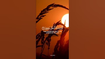 سورة التين #quran #قران #القران_الكريم #قران_كريم #اكسبلور #القرآن #تلاوات