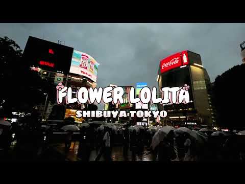 Flower Lolita 渋谷交差点看板ジャック広告