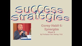Success Strategies on Achieving Synergy