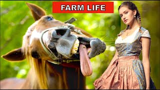 new horse vlog | Work with foal - Life on the farm  2024