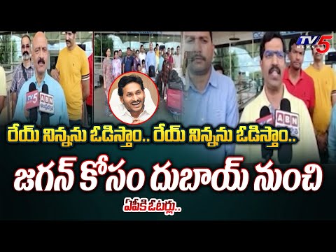 అయిపోయావ్ రా.. | AP Voters from Dubai For To Cast There Vote Against CM Jagan | YSRCP | TV5 News - TV5NEWS