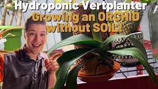 Growing Indoor Plants WITHOUT SOIL using a Vertplanter!