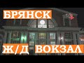 Брянск. Брянски ж/д вокзал. На рельсах мышь, на перроне собаки.