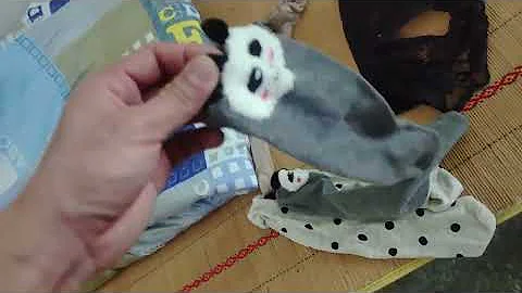 斯文女學生退房，沐浴露、黑絲襪子、內褲還有衣服都扔了，現在的學生真會玩 - 天天要聞
