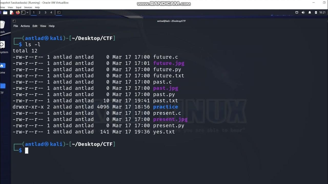 Basic Linux Commands Part 1 - File System Commands - YouTube