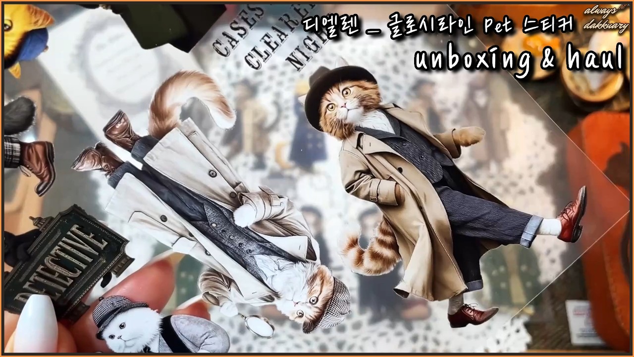 ASMR🎧✨[디엘렌 신제품]✨🎁_  