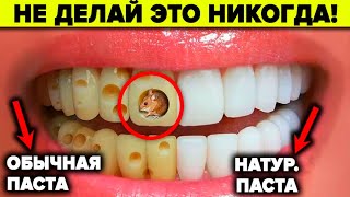 Зубная паста - страшный заговор стоматологов. 10 натуральных альтернатив ядовитым пастам