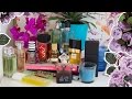 Моя коллекция парфюмерии | Все мои люксовые ароматы! | Вместе с Jonny Brown Eyes | Anisia Beauty