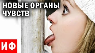ОРГАНЫ ЧУВСТВ о которых мы НЕ ЗАДУМЫВАЕМСЯ #ИФ ОРГАНЫ ЧУВСТВ о которых мы НЕ ЗАДУМЫВАЕМСЯ #ИФ