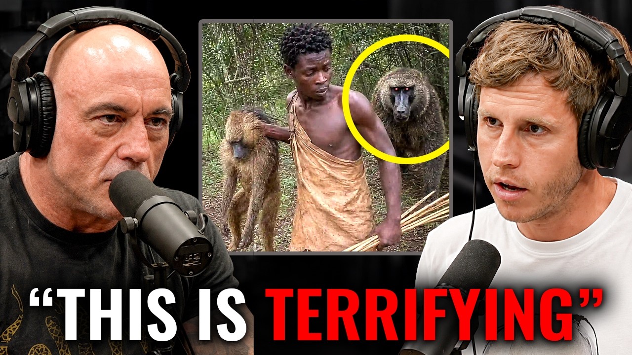 Original Title & Thumbnail